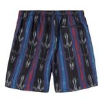 Плавки Stussy Ikat Stripe Water Short 'Черный' 2