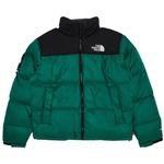 Пуховики Supreme x The North Face Nuptse Jacket 'Green' 1