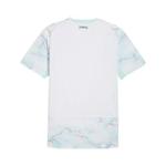 Джерси Puma Austria 2026 Authentic Away Jersey 'Puma White-Mint Melt' 2