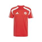Футболка FC Bayern с нашивкой-логотипом 1