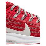 Кроссовки Zoom Pegasus 36 2