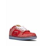 Кроссовки SB Dunk Low Magic Mushroom из коллаборации с Stingwater 2