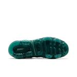 Кроссовки Nike Wmns Air Vapormax Plus 'Bicoastal' 4