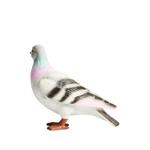 Pigeon clutch bag 2