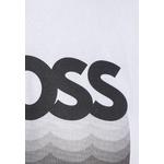 Te_Insignia - BOSS Orange 5