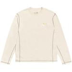 Футболки с длинным рукавом Stussy x Mountain Hardwear Long-Sleeve Tee 'Stone' 1