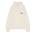 Худи Balenciaga Large Fit Hoodie 'Light Beige' 1