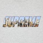 Футболки Supreme Gotham Tee 'Ash Grey' 2