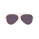 Солнцезащитные очки-авиаторы Aviator Reverse 1
