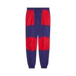 Брюки Gucci x The North Face Jogging Pant 'Blue/Red' 1