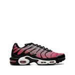 Кроссовки Air Max Plus All Day 1