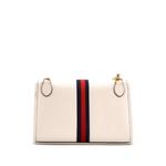 Маленькая сумка через плечо Rajah Web Chain Shoulder Bag Leather 2