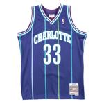 Топ "NBA Charlotte Hornets 94 Alonzo Mourning" Swingman Alternate 1