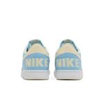 Кроссовки Nike Terminator Low 'Aquarius Blue Coconut Milk' 6