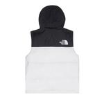 Жилеты The North Face 1996 Retro Nuptse Vest 'TNF White/TNF Black' 2