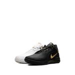 Кроссовки Zoom LeBron NXXT Gen Equity 2