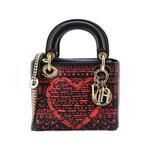 Сумка-тоут Lady Dior Bag Printed Leather Mini с принтом 1