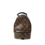 Mini Palm Springs Monogram backpack 1