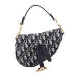 Saddle Handbag Oblique Canvas Mini shoulder bag 1