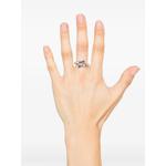 Bambu ring 2