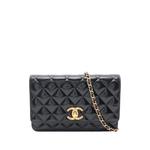 Сумка через плечо CC Quilted Lambskin Wallet On Chain (2021-2026 годы) 1