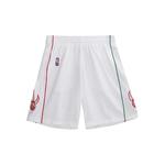 Шорты Toronto Raptors 2007-08 из коллаборации с NBA 1