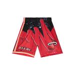 Шорты NBA Miami Heat 1996 Hyper Hoops Swingman 1