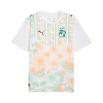 Джерси Puma Ivory Coast 2026 Away Kit «Puma White-Warm Chestnut» 1