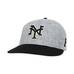 Кепка Palace x Ebbets Field Flannels New York Cubans Authentic Wool Ballcap «Grey» 1