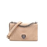 Маленькая сумка на плечо Diorama Flap Bag Iridescent Nubuck 1