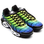 Кроссовки Nike Air Max Plus TN 5
