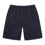 Шорты Stussy Brushed Beach Short 'Navy' 1