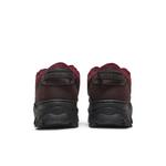 Кроссовки Nike Wmns Lahar Low Canvas 'Madeira Dark Beetroot' 6