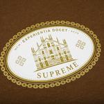 Футболка Supreme Experientia Tee 'Brown' 2