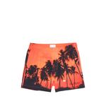 Плавки-шорты Sunset Palms 1
