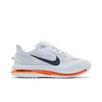 Кроссовки Nike Wmns Pegasus Premium 'Airscape' 1