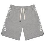 Шорты Godspeed Courtside Shorts 'Grey' 1