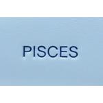 Мюли GOAT Horoscope Pisces Mule Powder Blue/Royal Blue 11