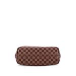 Graceful Handbag Damier PM hobo bag 4