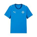 Джерси Puma Iceland 2026 Home Kit 'Electro Royal-Puma White' 1