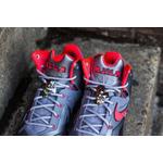 Баскетбольные кроссовки Nike LeBron 11 Elite 'Team' 3