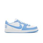 Кроссовки Nike Terminator Low 'University Blue' 1