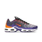 Кроссовки Nike Air Max Plus 'Color Flip' 1