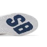 Кроссовки Nike Day One SB GS 'Sanddrift' 5