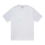 Футболки Stussy Ladybug Tee 'Белый' 2