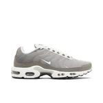 Кроссовки Nike Air Max Plus SE 'Flat Pewter' 1