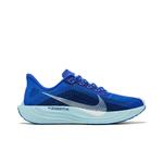 Кроссовки Nike Pegasus Plus 'Racer Blue' 1