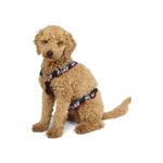 Аксессуары Palace Basically A Dog Harness 'Black/Multicolor' 1