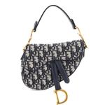 Saddle Handbag Oblique Canvas Mini shoulder bag 1
