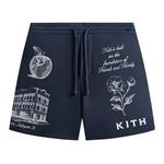 Шорты Kith New York To The World Curtis Short 'Nocturnal' 1